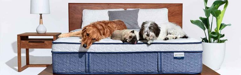 land-and-sky-introduces-the-new-century-air-bed-collection-mattressreviews-co