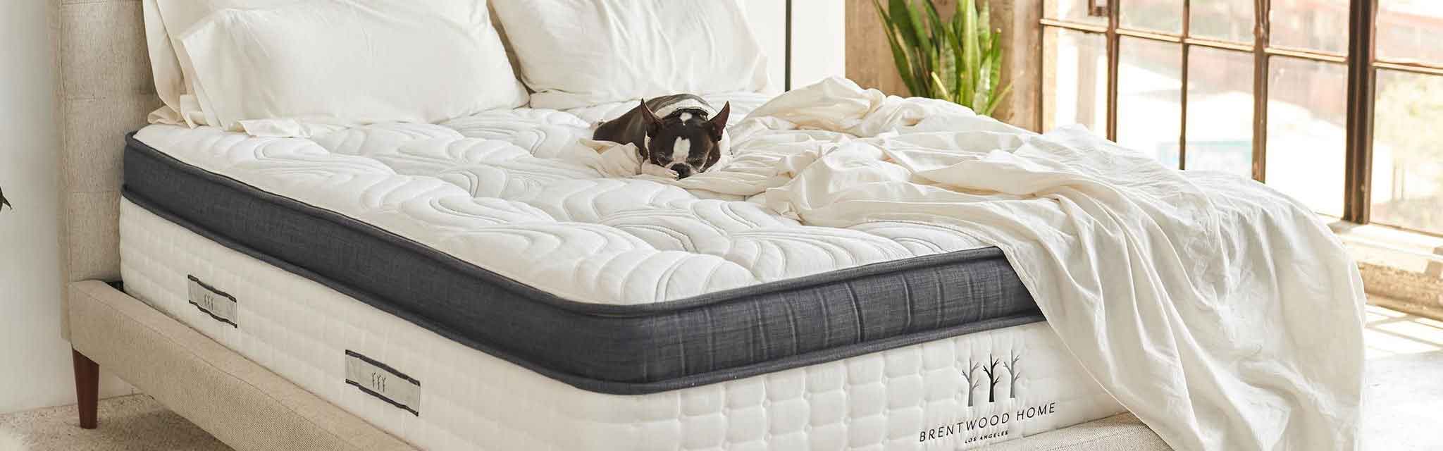 Buying Guide – How to Choose a Mattress?