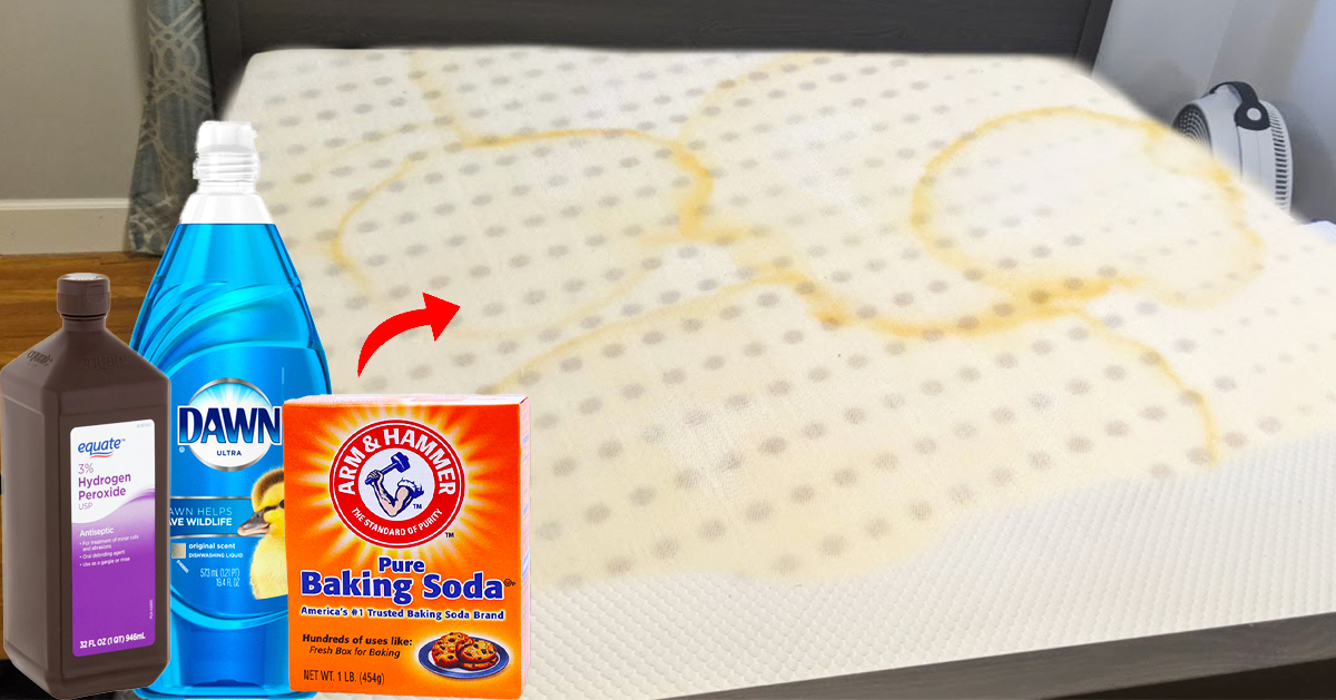 how-to-get-pee-out-of-mattress